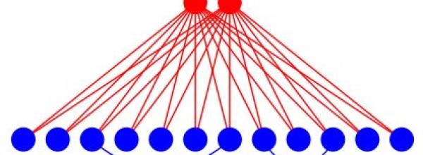 Identification of Large-Scale Networks: the role of Sparsity and Low-rank Constraints